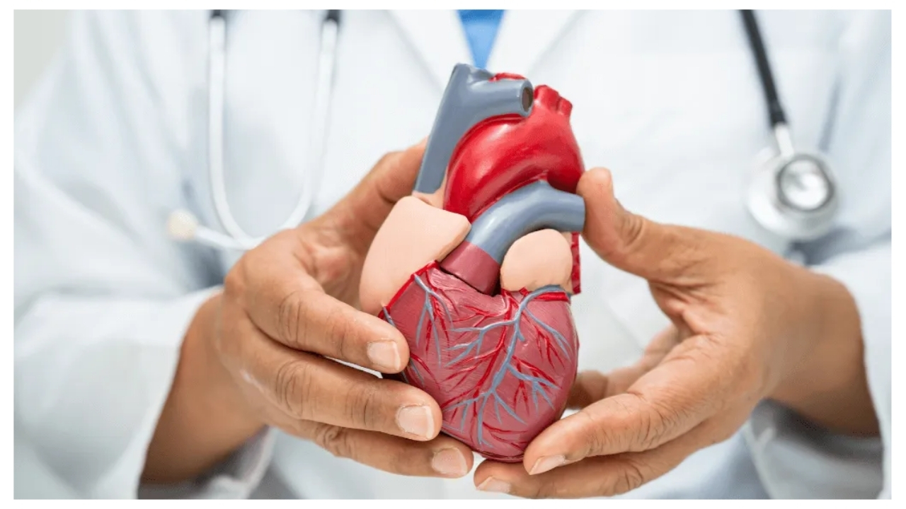 Cardiologies